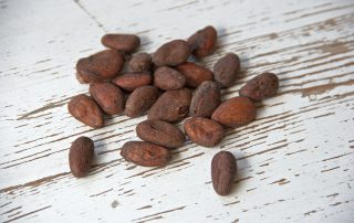 Semillas de cacao usadas para obtener teobromina, un aditivo del tabaco